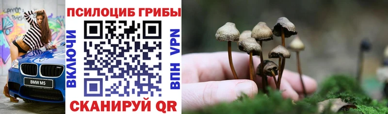 площадка официальный сайт  Буинск  Псилоцибиновые грибы прущие грибы  ОМГ ОМГ зеркало 